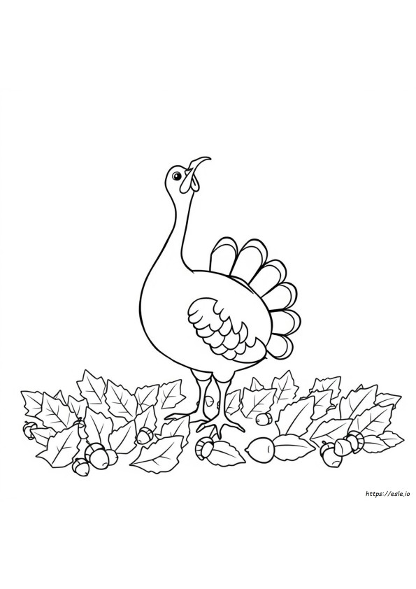 七面鳥のくちばし ぬりえ