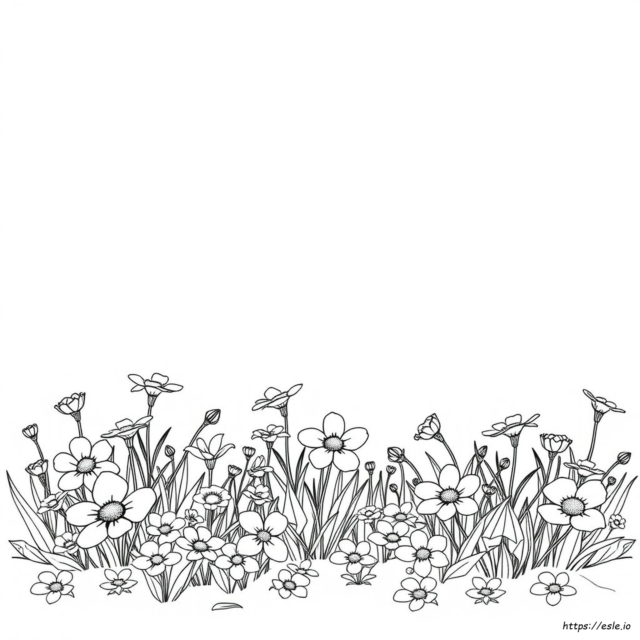 Gorgeous Coloring Pages
