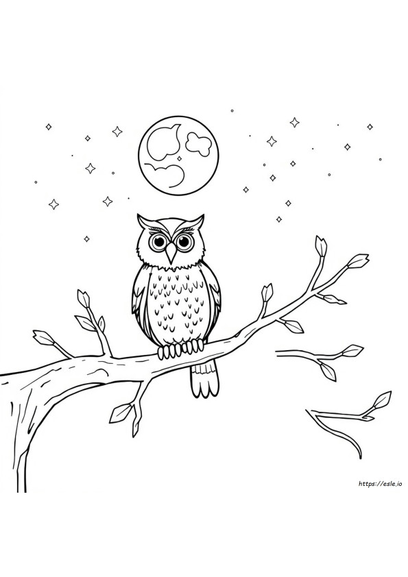 Coloriage Hibou Pour Adultes À Imprimer Gratuit
