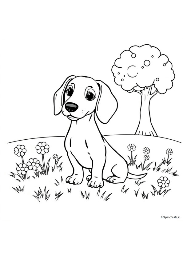 Coloriages Mignon Teckel