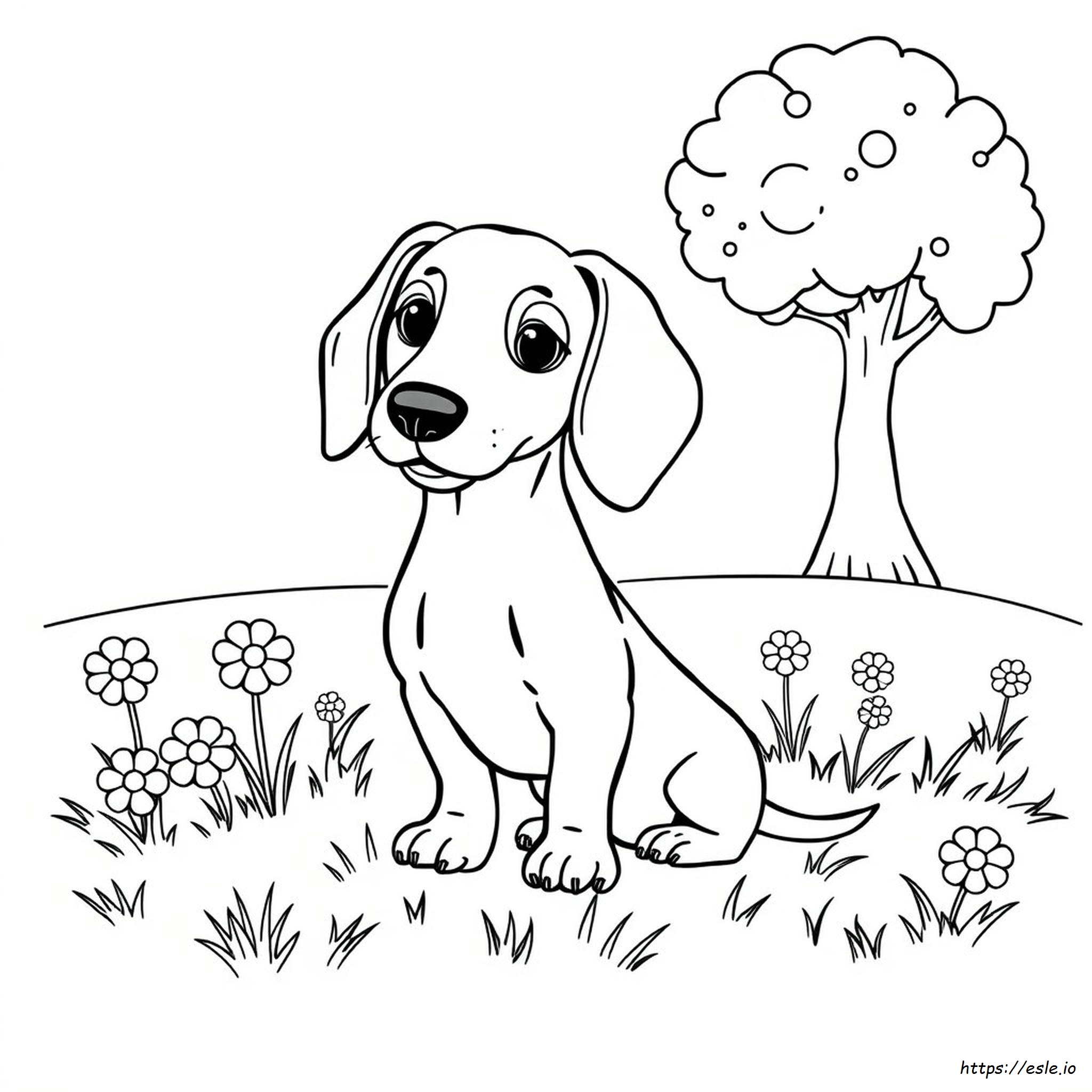 Cute Dachshund Coloring Pages