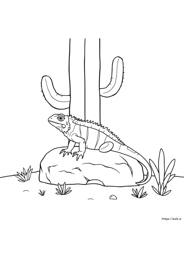 Iguanas Para Colorir E Imprimir