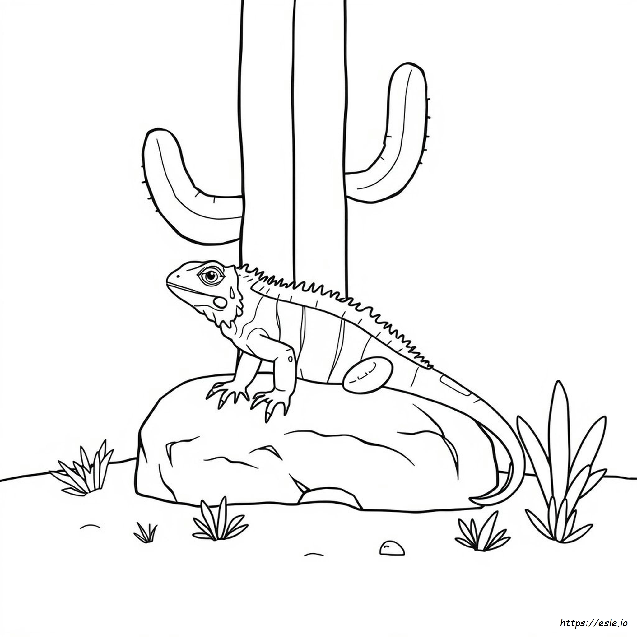 Iguana Coloring Pages Printable