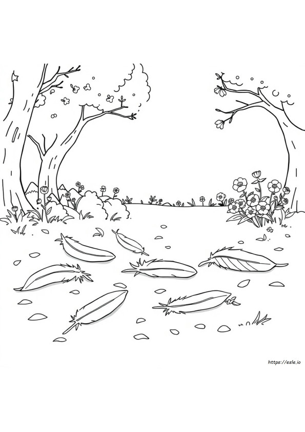 Coloring Pages Of Feathers