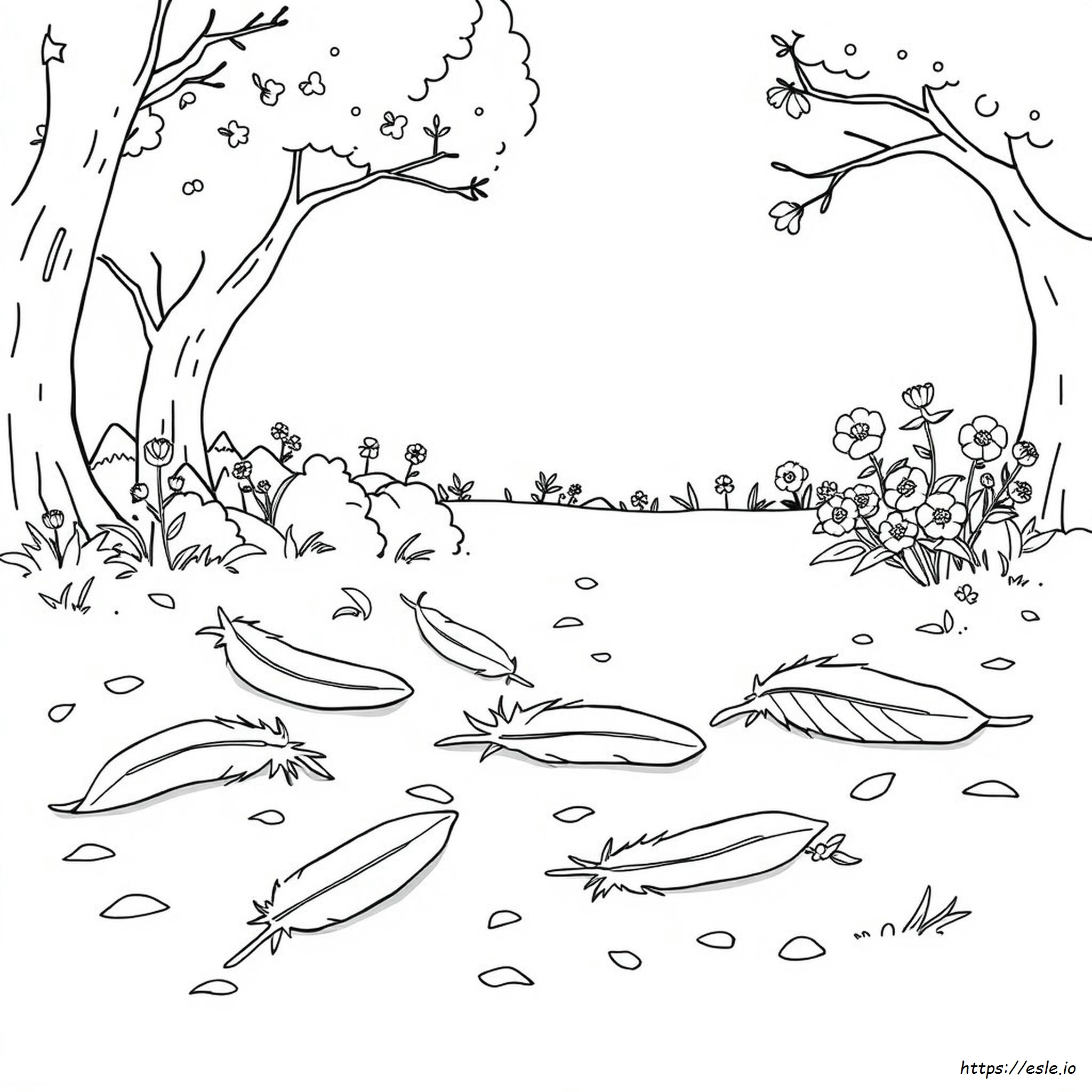 Coloring Pages Of Feathers