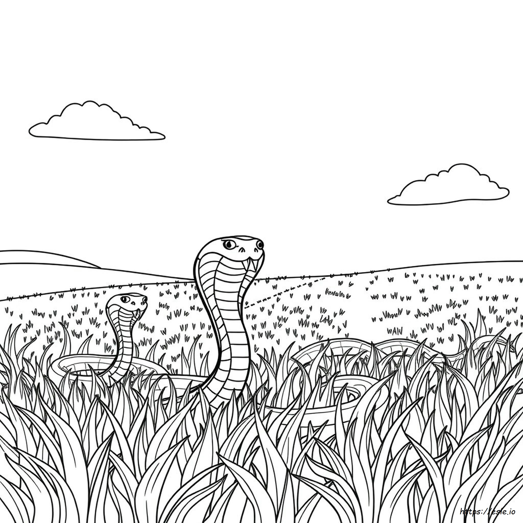 Coloring Pages Of Cobra