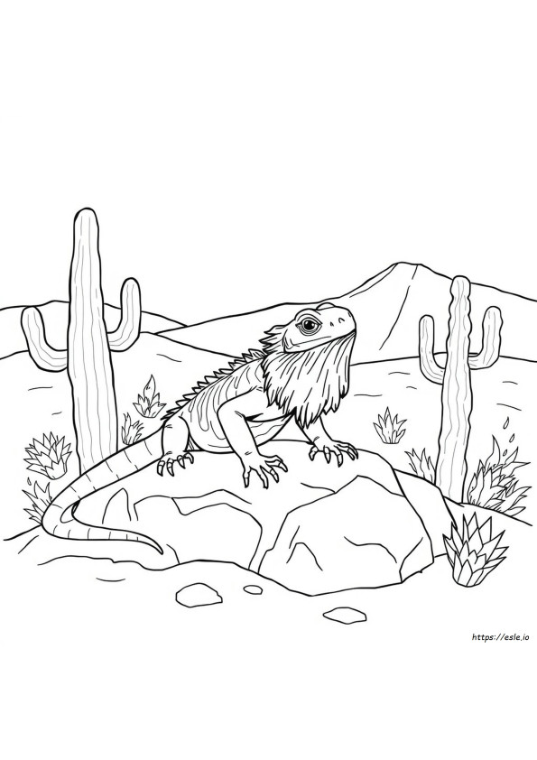 Bearded Dragon Colouring In