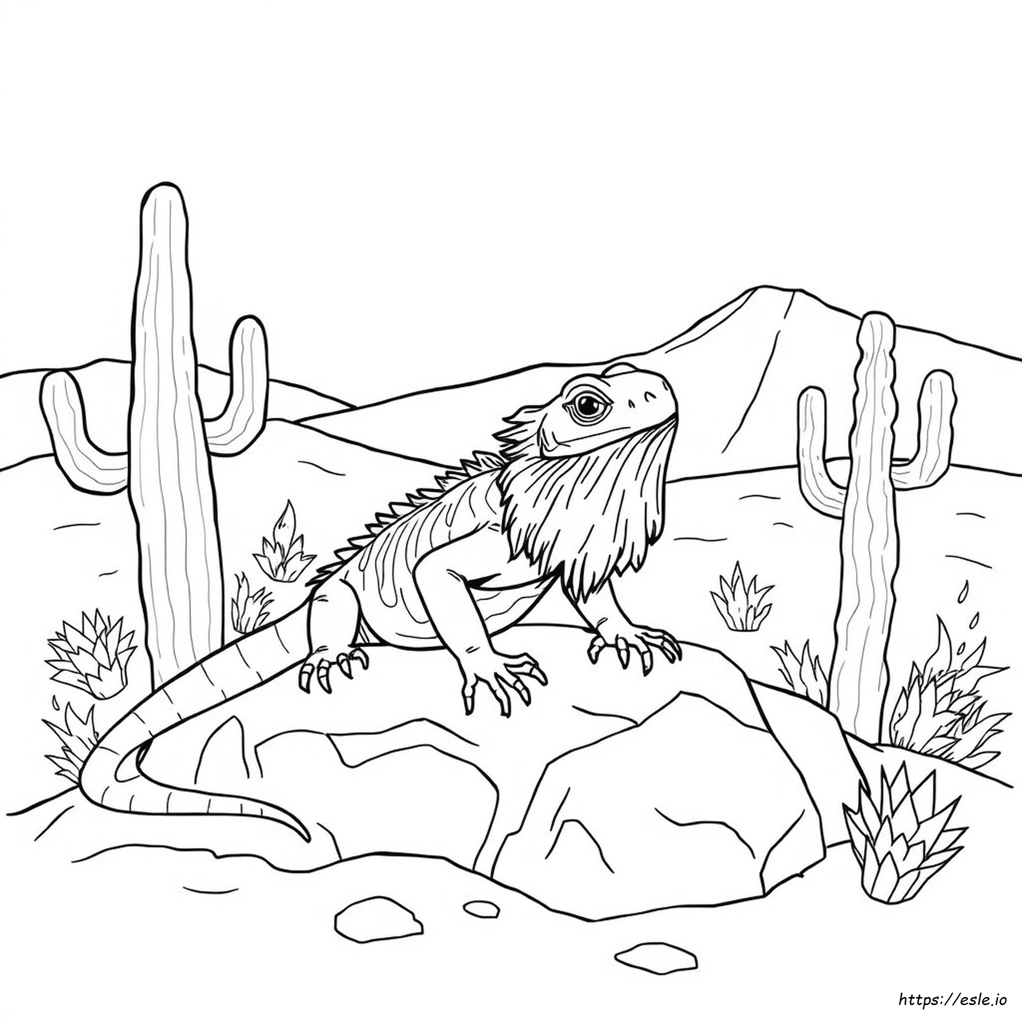 Bearded Dragon Colouring In