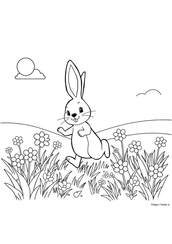 Spring Bunny Coloring Pages