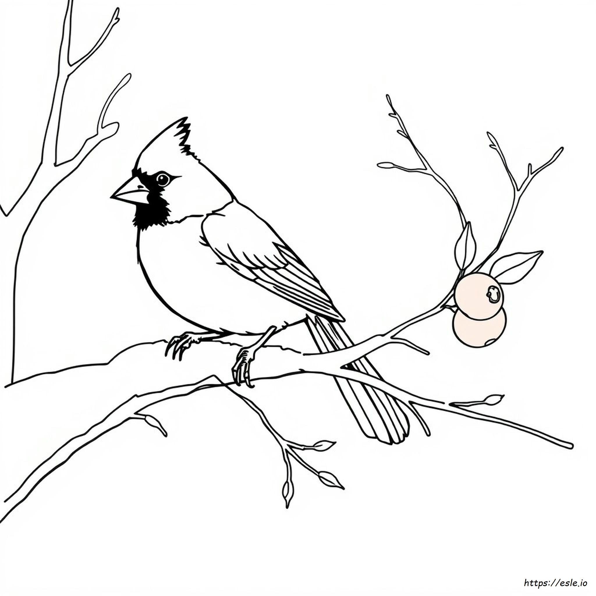 Do Cardinals Change Color In Winter