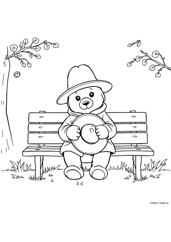 Paddington De Colorat