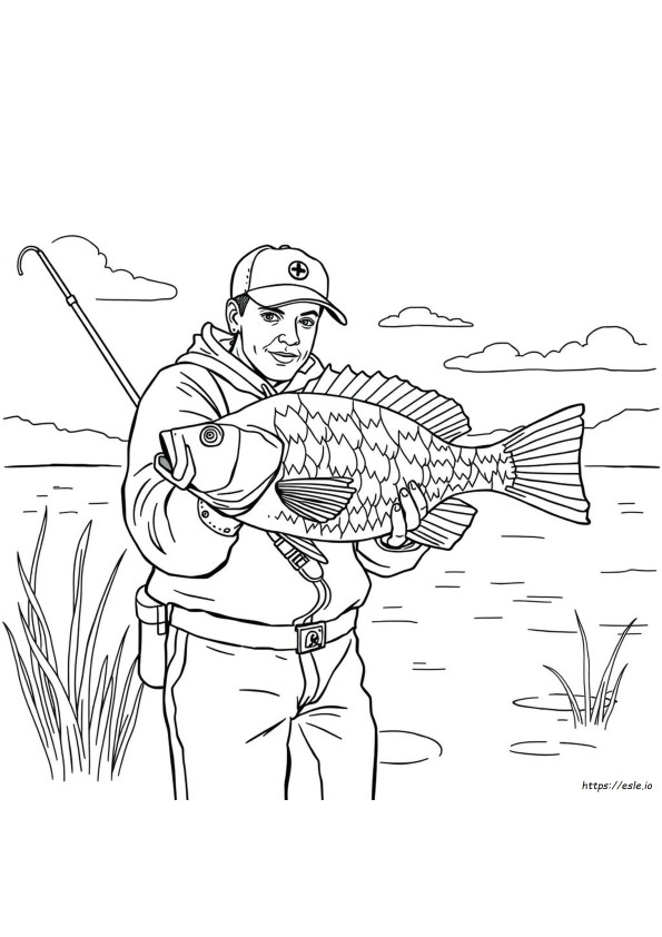 Quali Colori Vedono I Crappie