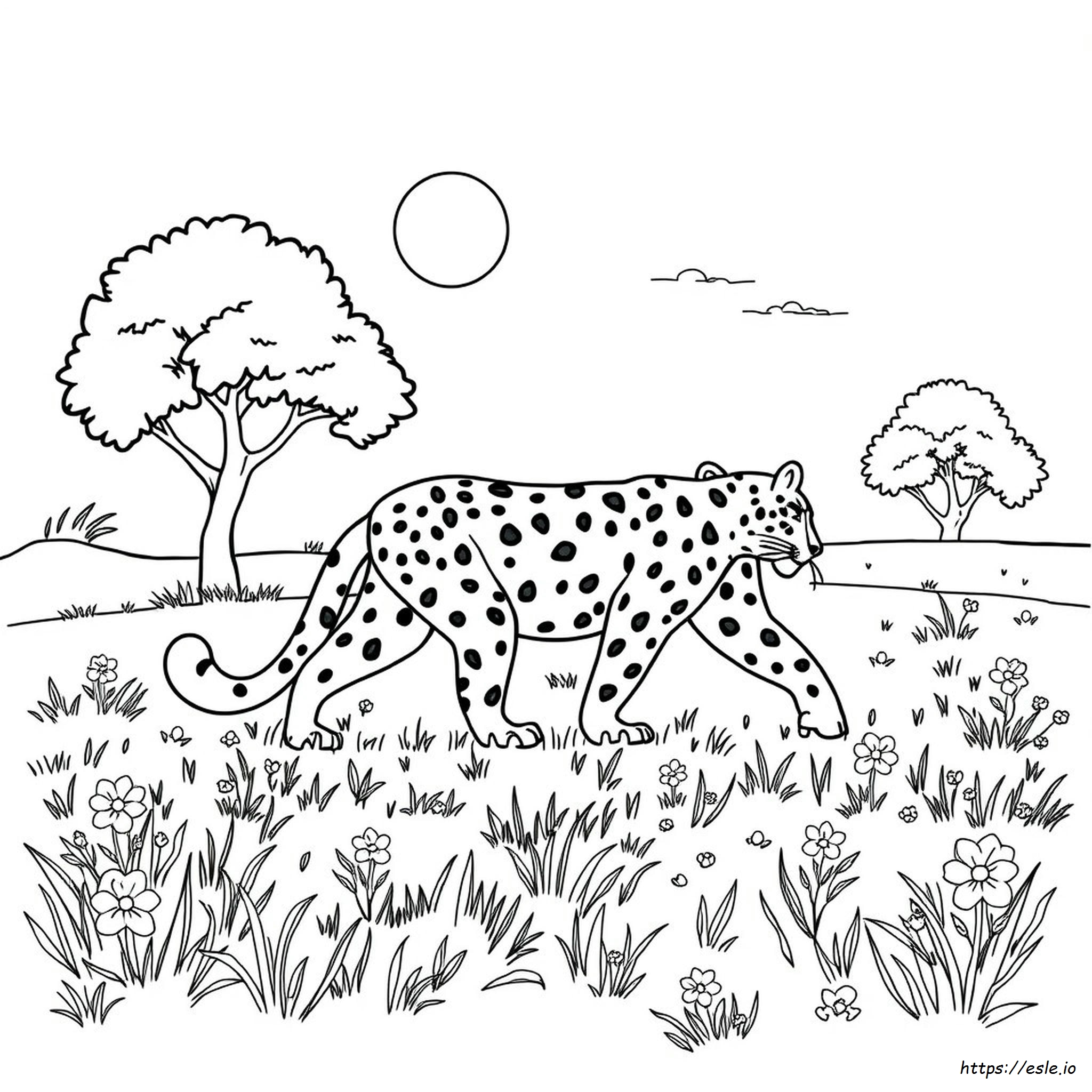 Florida Panthers Colouring Page