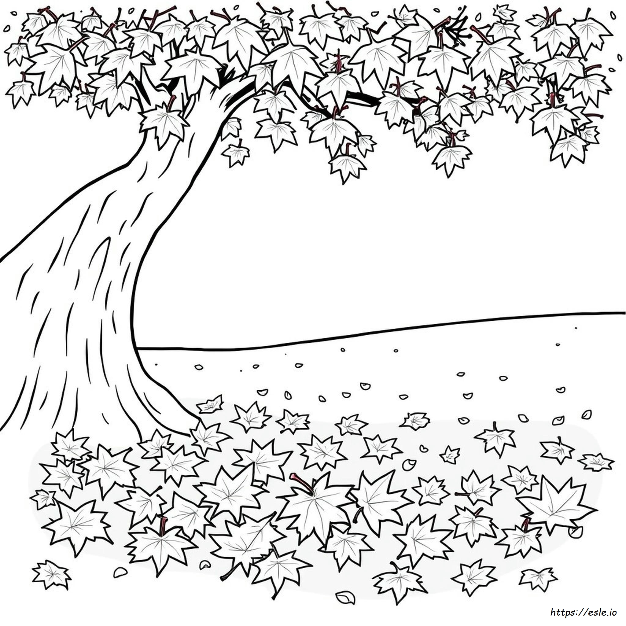 Coloring Page Of A Maple Leaf
