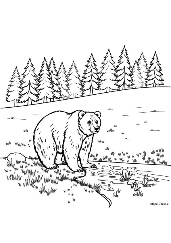 Coloriages D'ours Grizzly