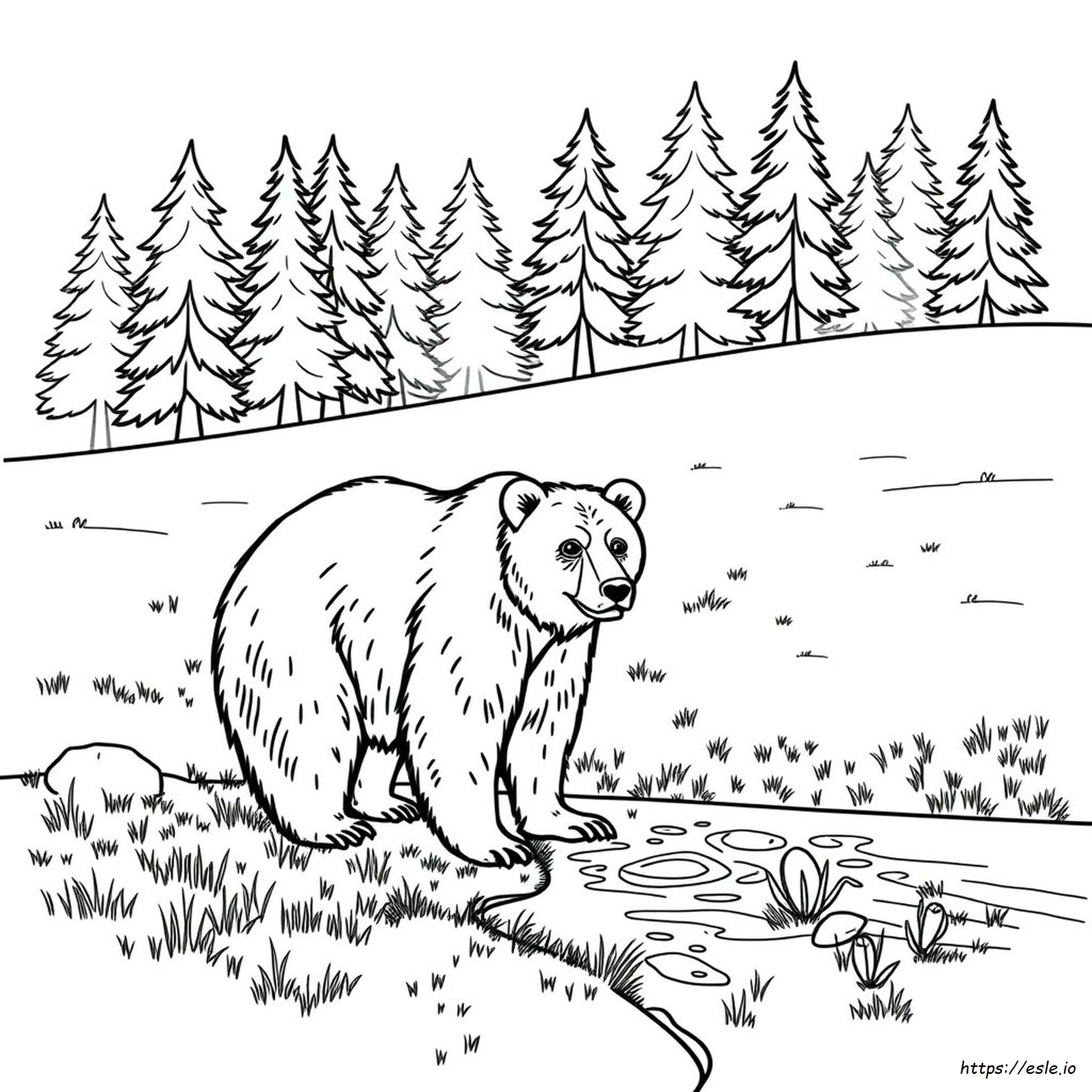 Coloring Pages Of Grizzly Bears