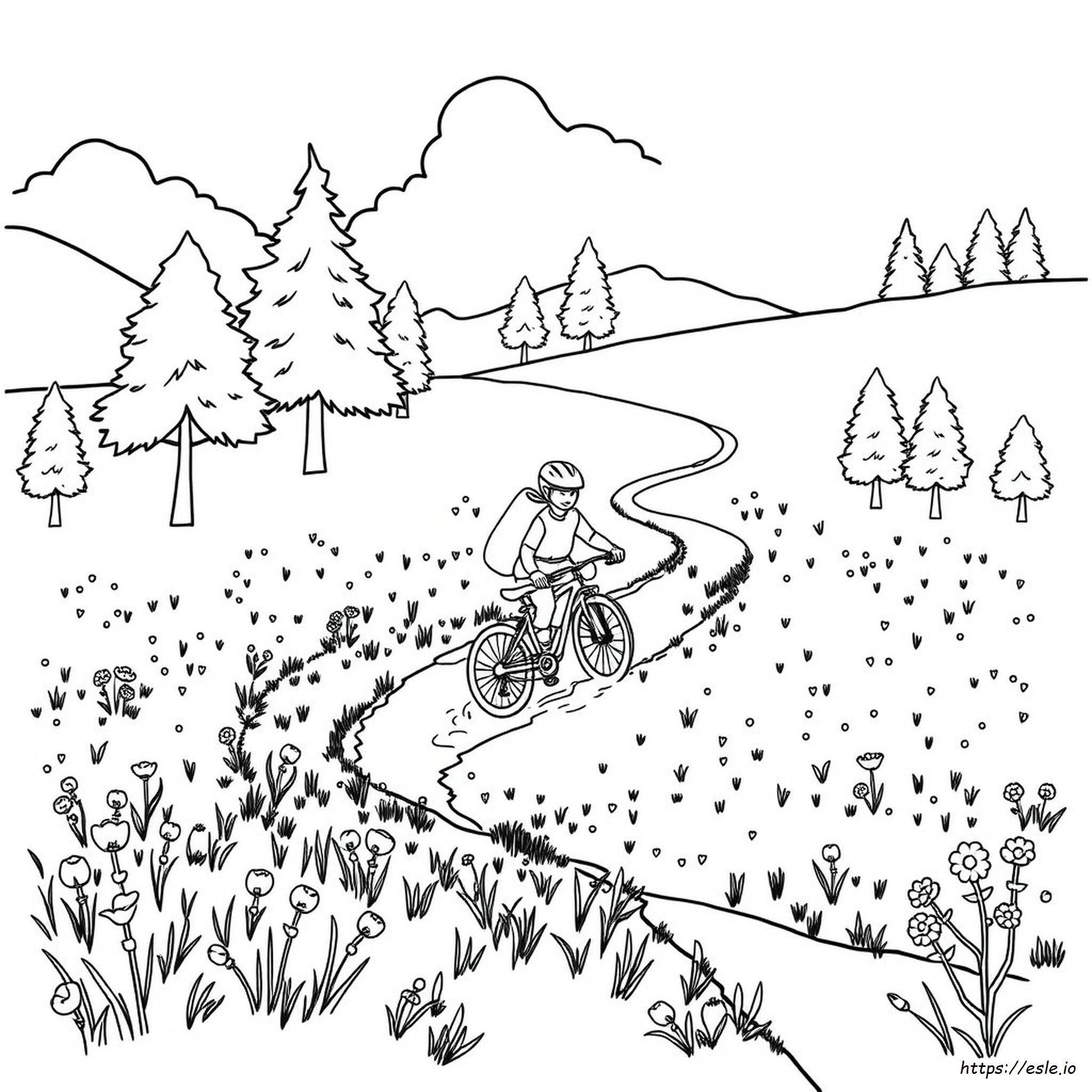 Mountain Bike Colouring Pages