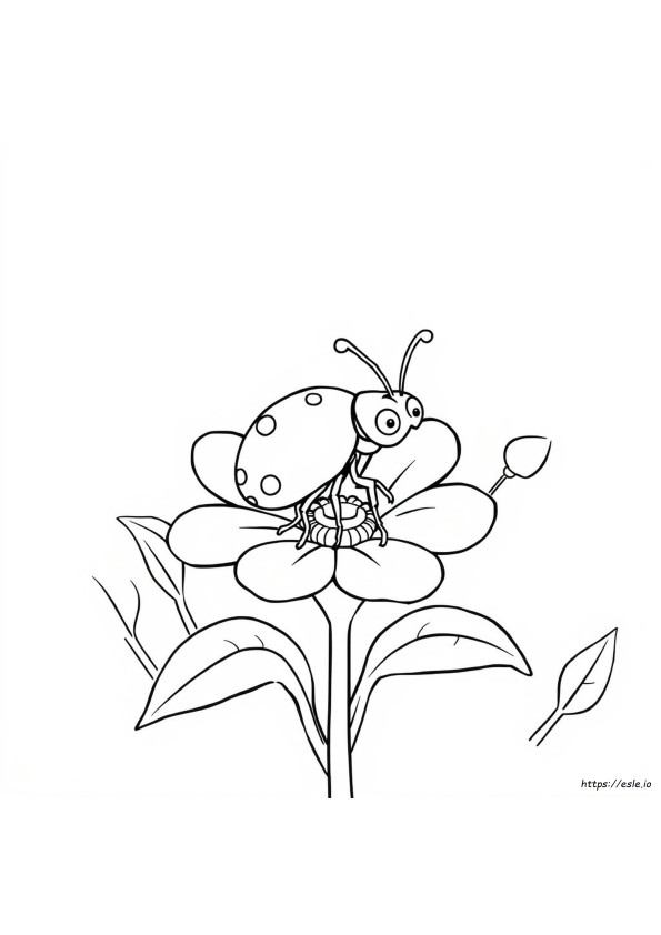 Insecten Kleurplaten