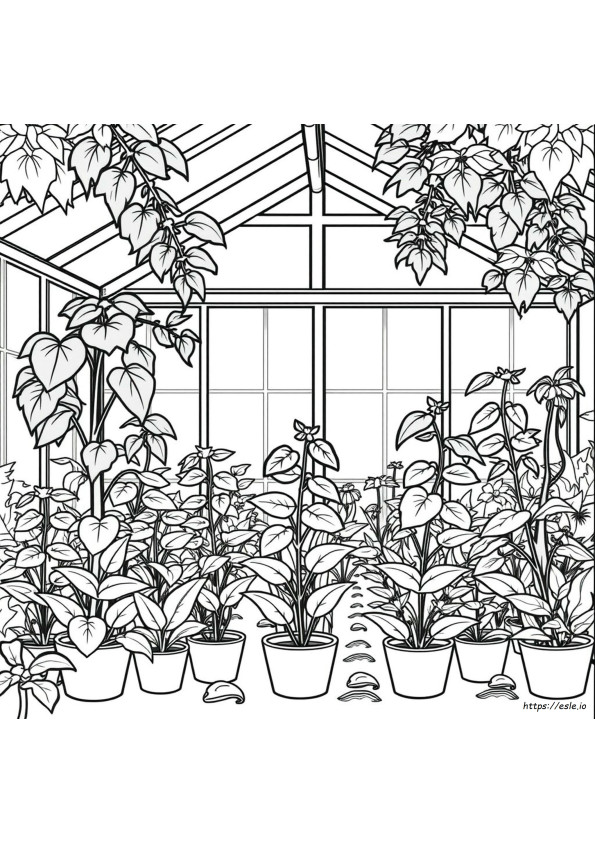 Adult Coloring Pages Plants