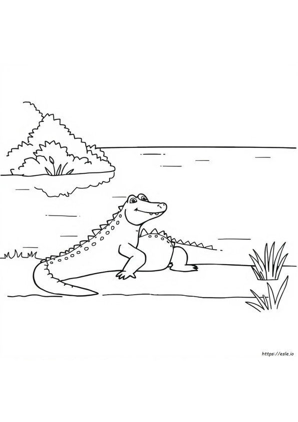 Desenho De Crocodilo Para Colorir