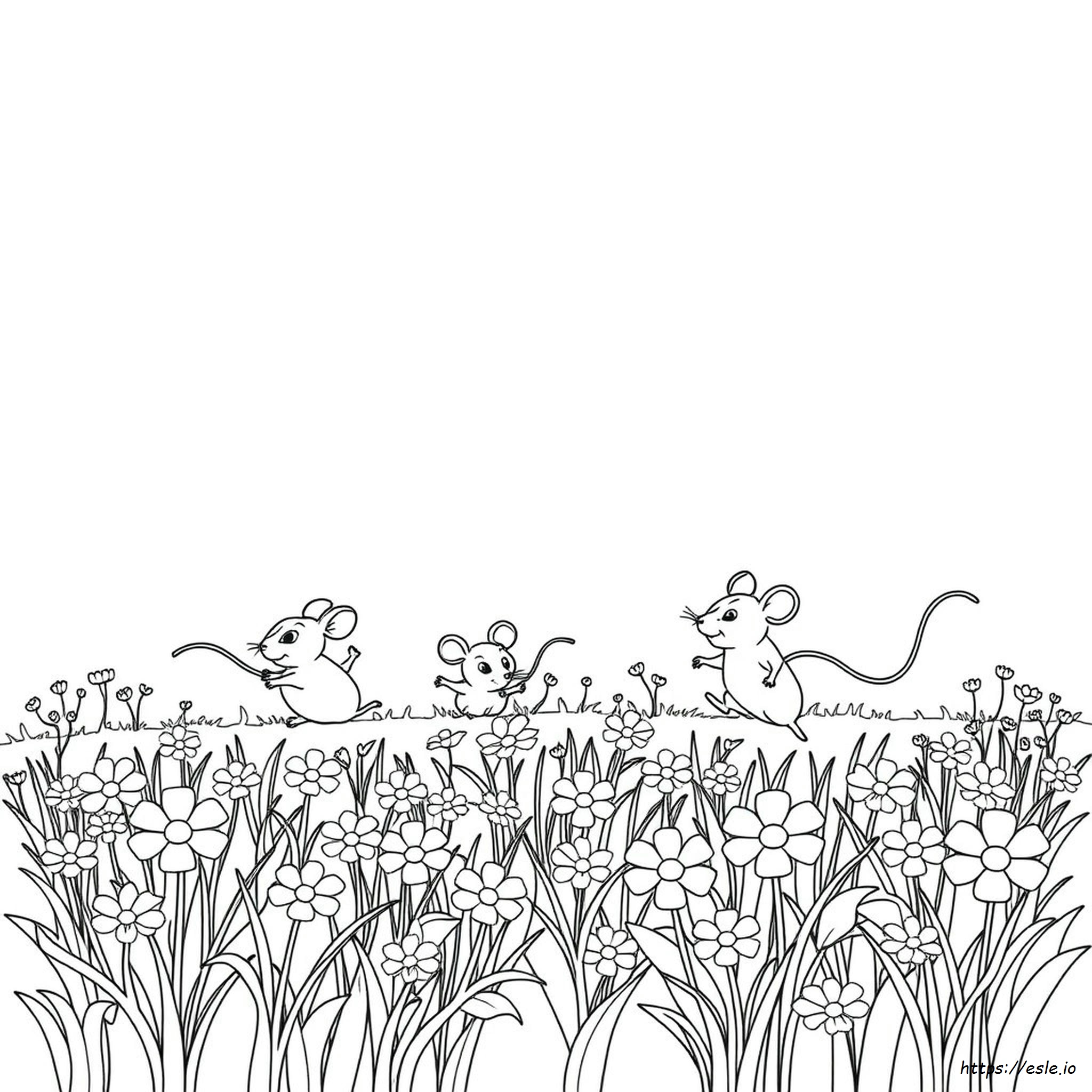 Coloring Pages Of Mice