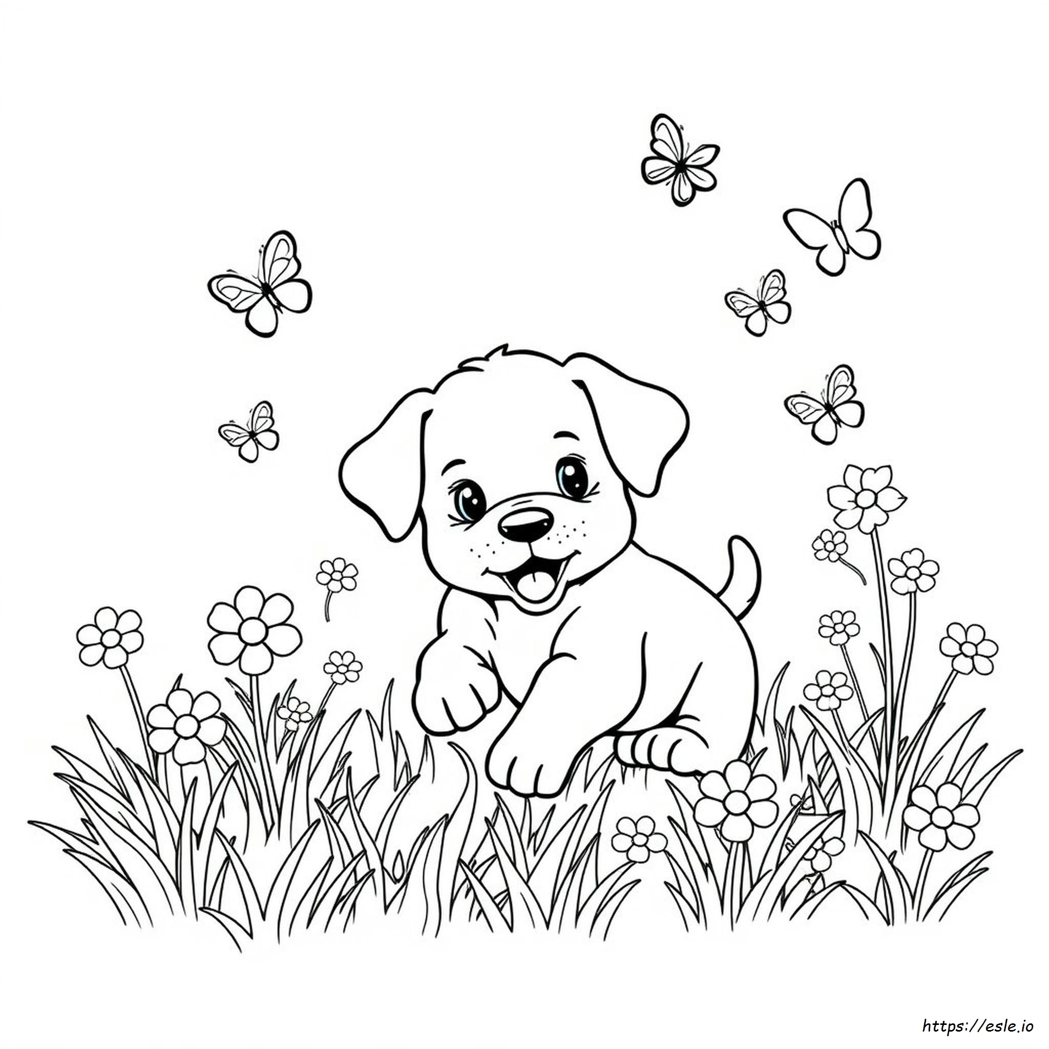 Disegni Da Colorare Di Un Cucciolo