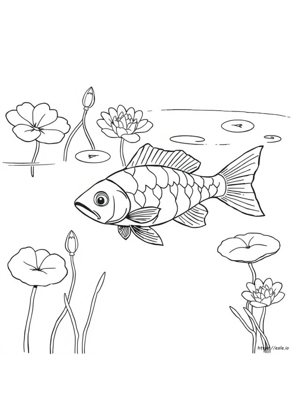 Fresh Water Fish Coloring Pages