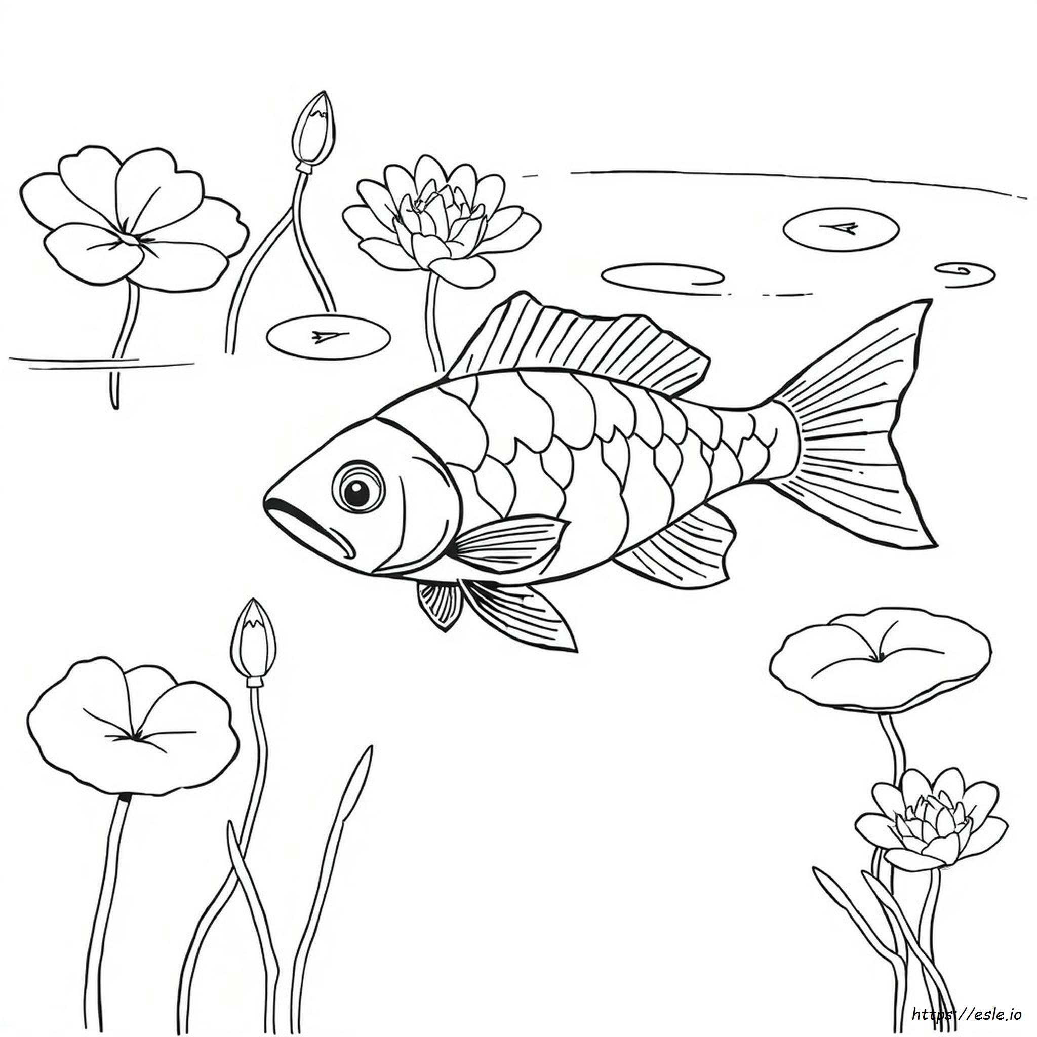 Peces De Agua Dulce Para Colorear