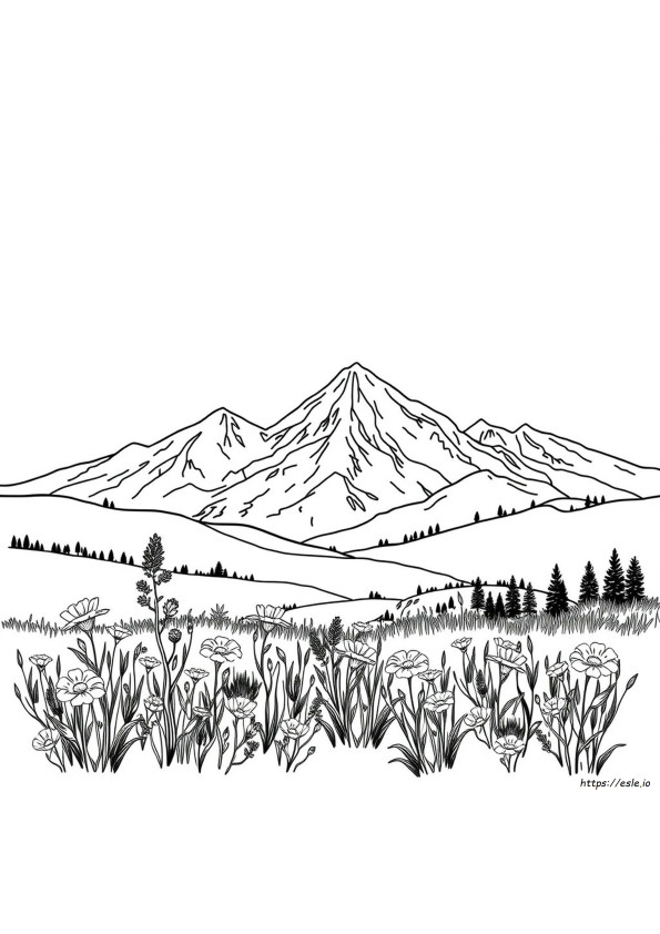 Colorado Coloring Sheets