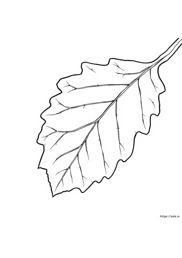Hoja Para Colorear