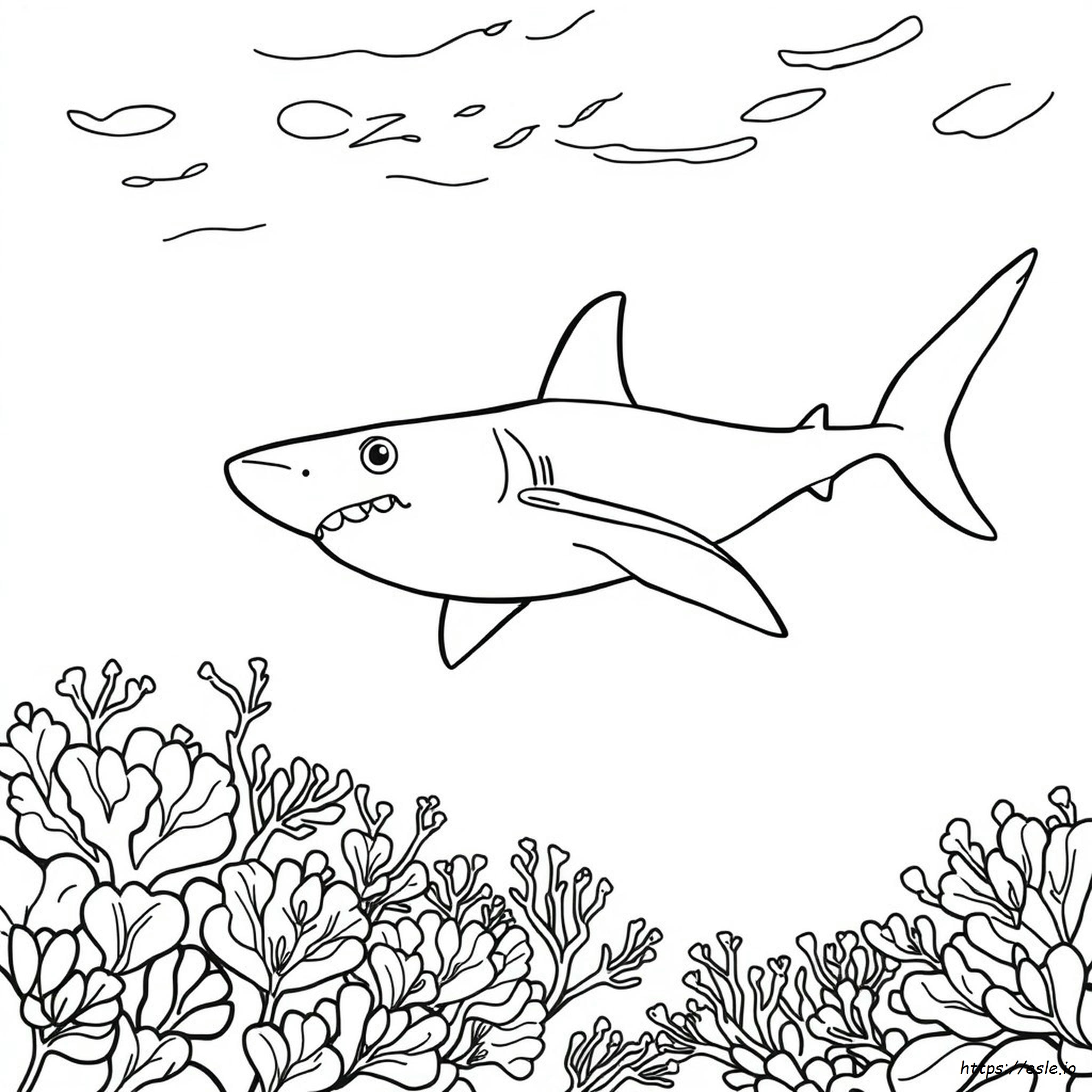Free Shark Coloring Pages