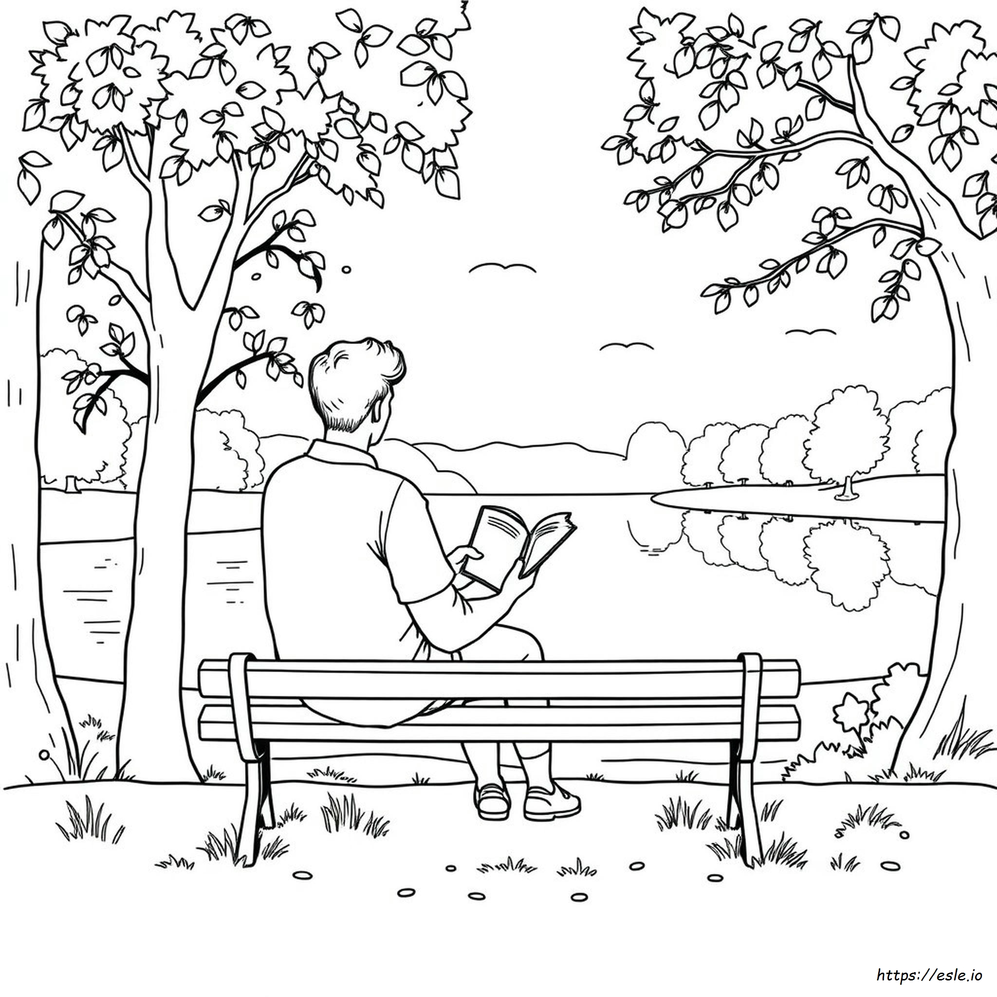 Adult Coloring Image