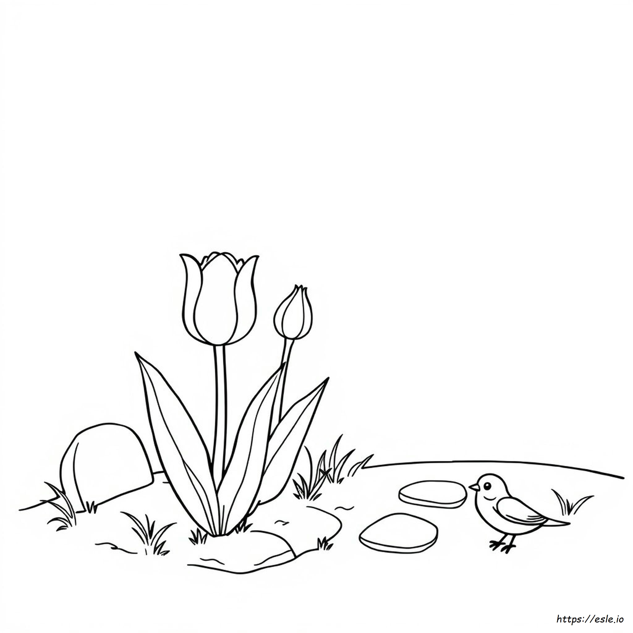 Preschool Tulip Coloring Page