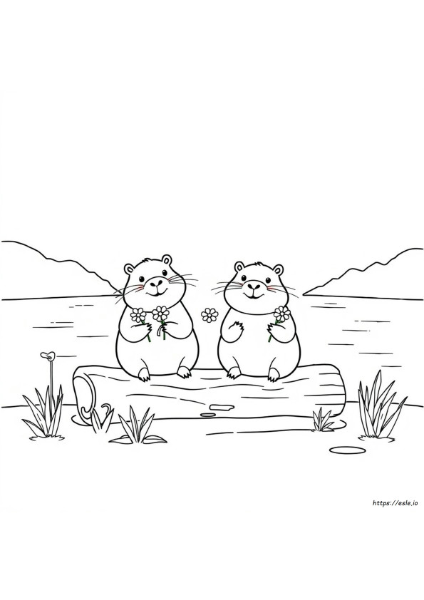 Kawaii Capybara Coloring