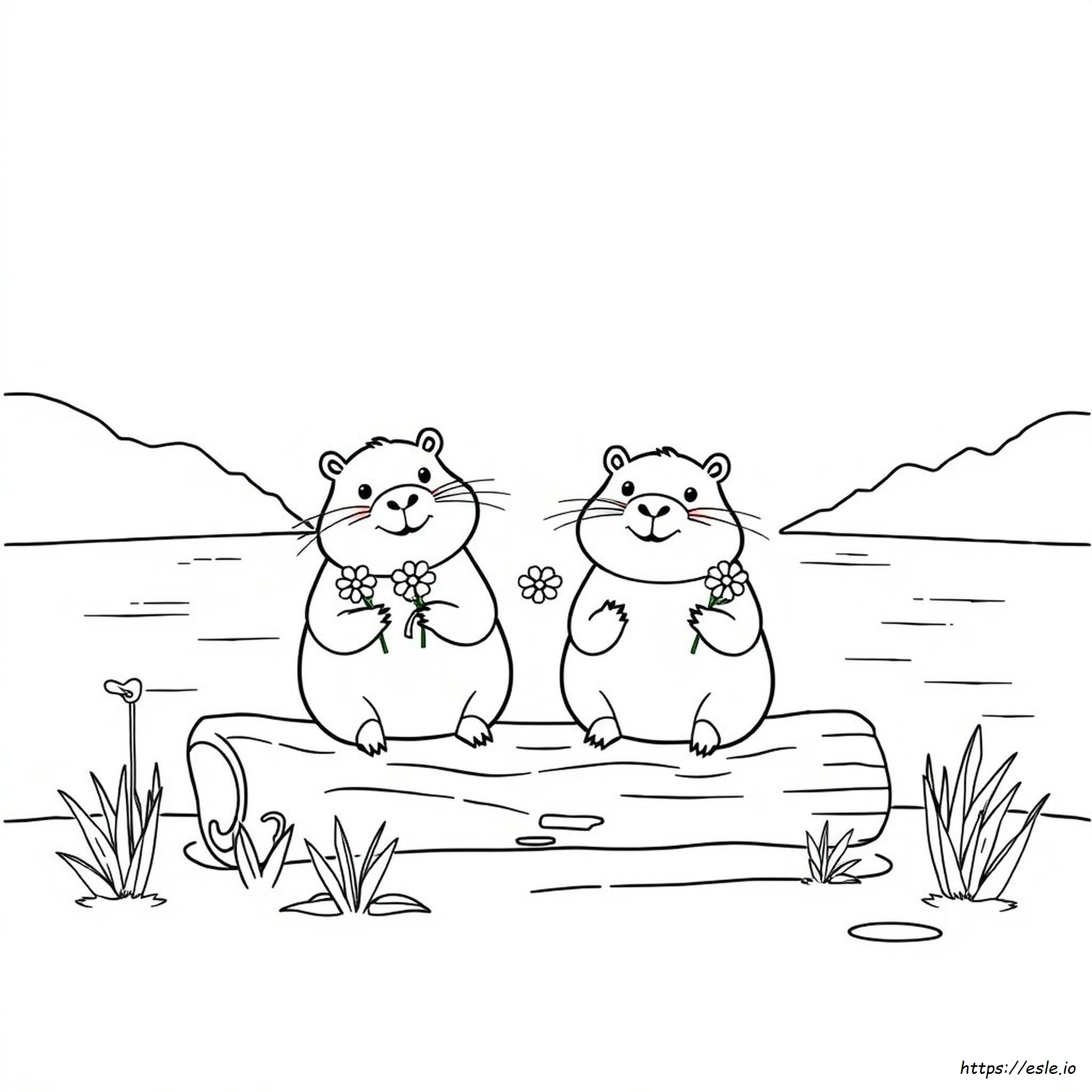 Kawaii Capybara Coloring