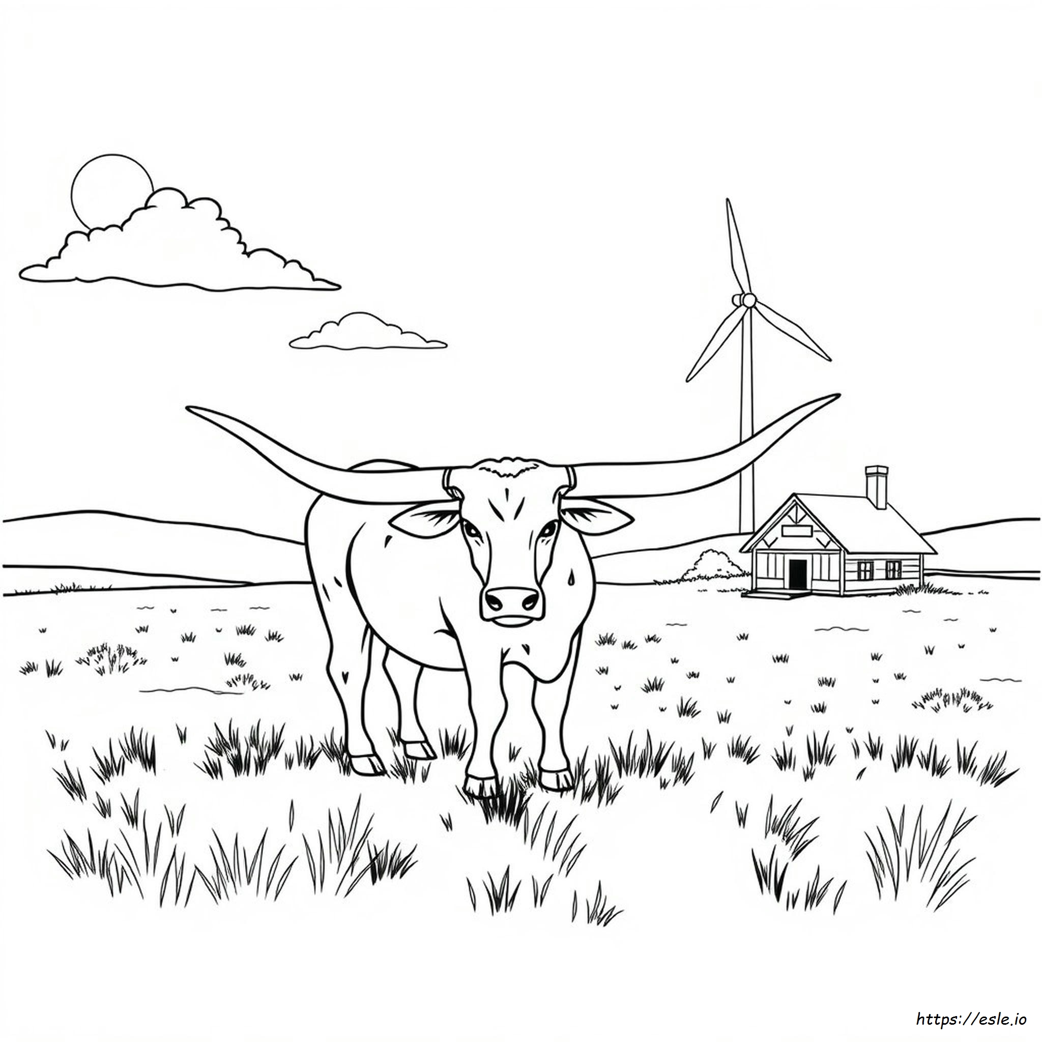 Texas Longhorns Coloring Pages Free