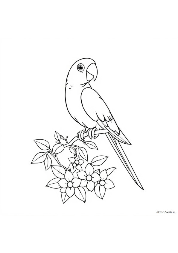 Parrot For Colouring