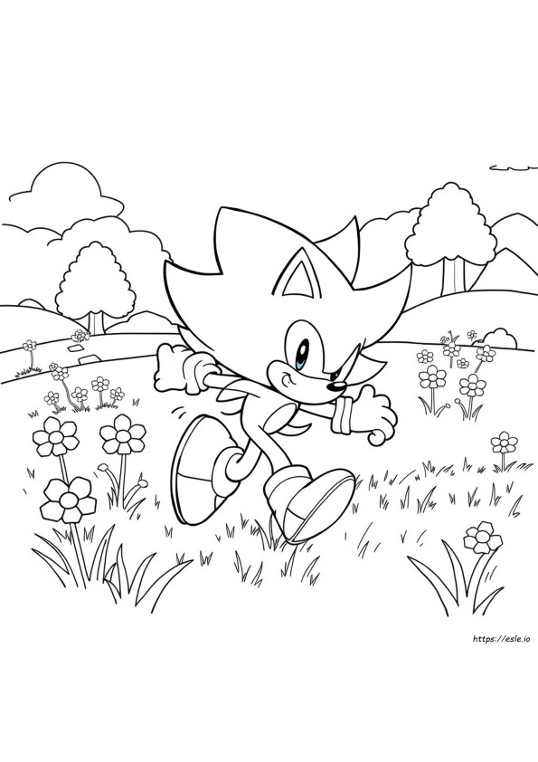 Disegni Di Sonic The Hedgehog Da Stampare E Colorare