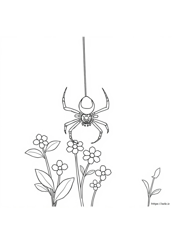 Spider Coloring Page