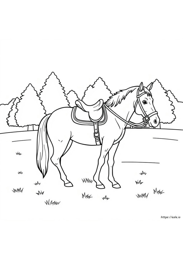 Horse Tack Coloring Pages