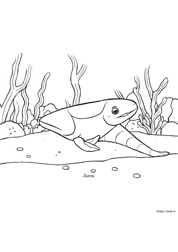 Printable Eel Coloring Page