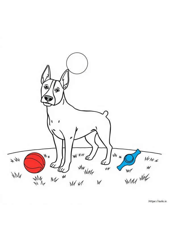 Bull Terrier Coloring Pages