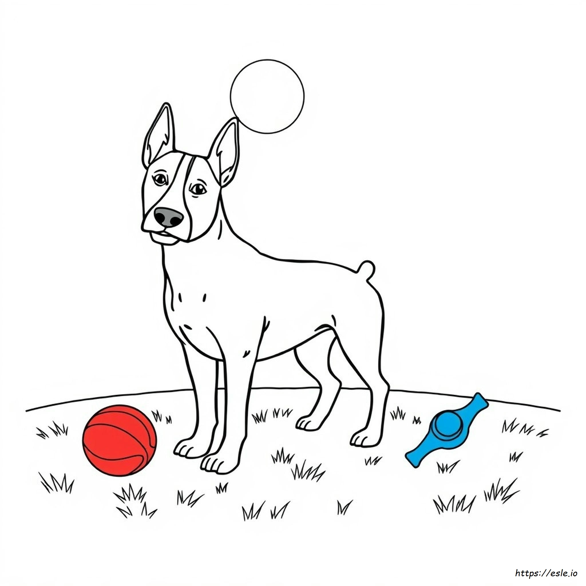 Bull Terrier Coloring Pages