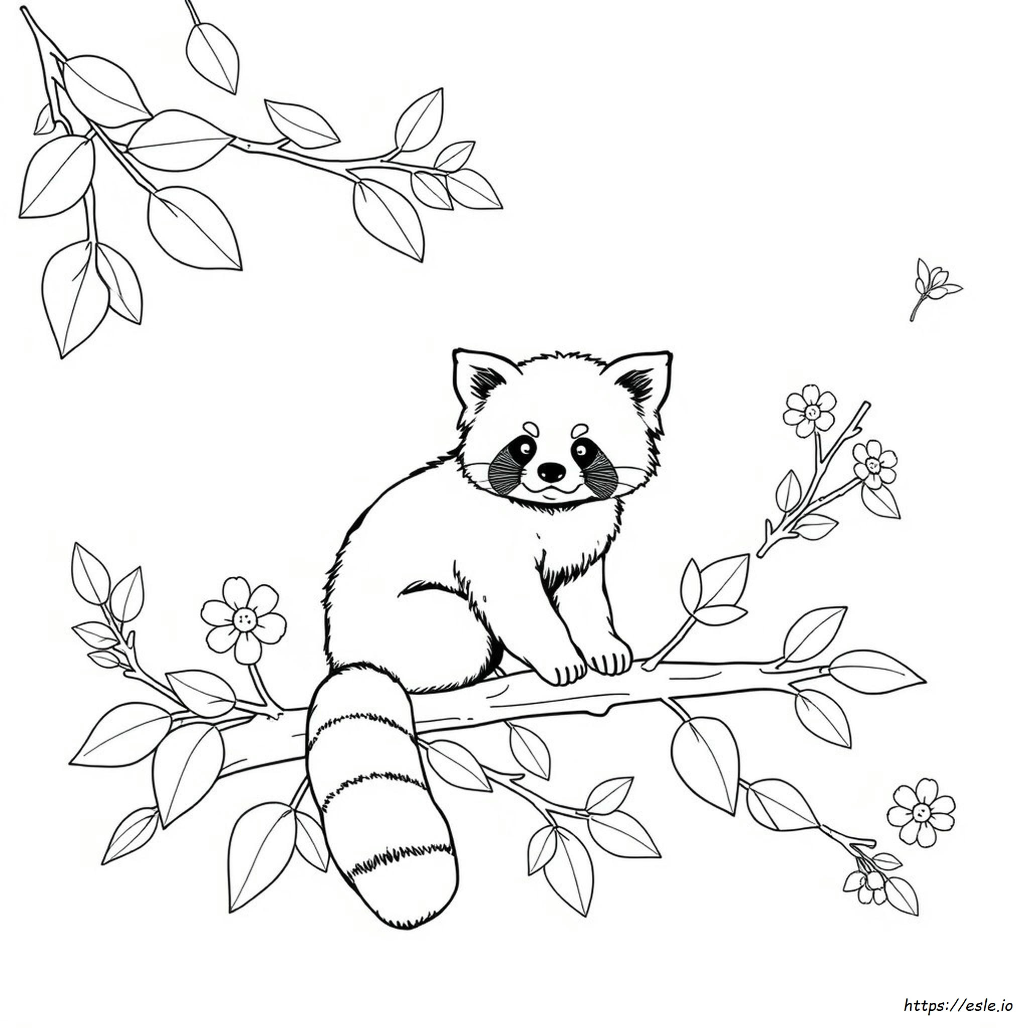 Coloriage Panda Roux Imprimer Coloriage Panda Roux Imprimer