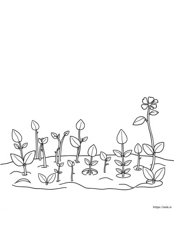 植物を育てる塗り絵