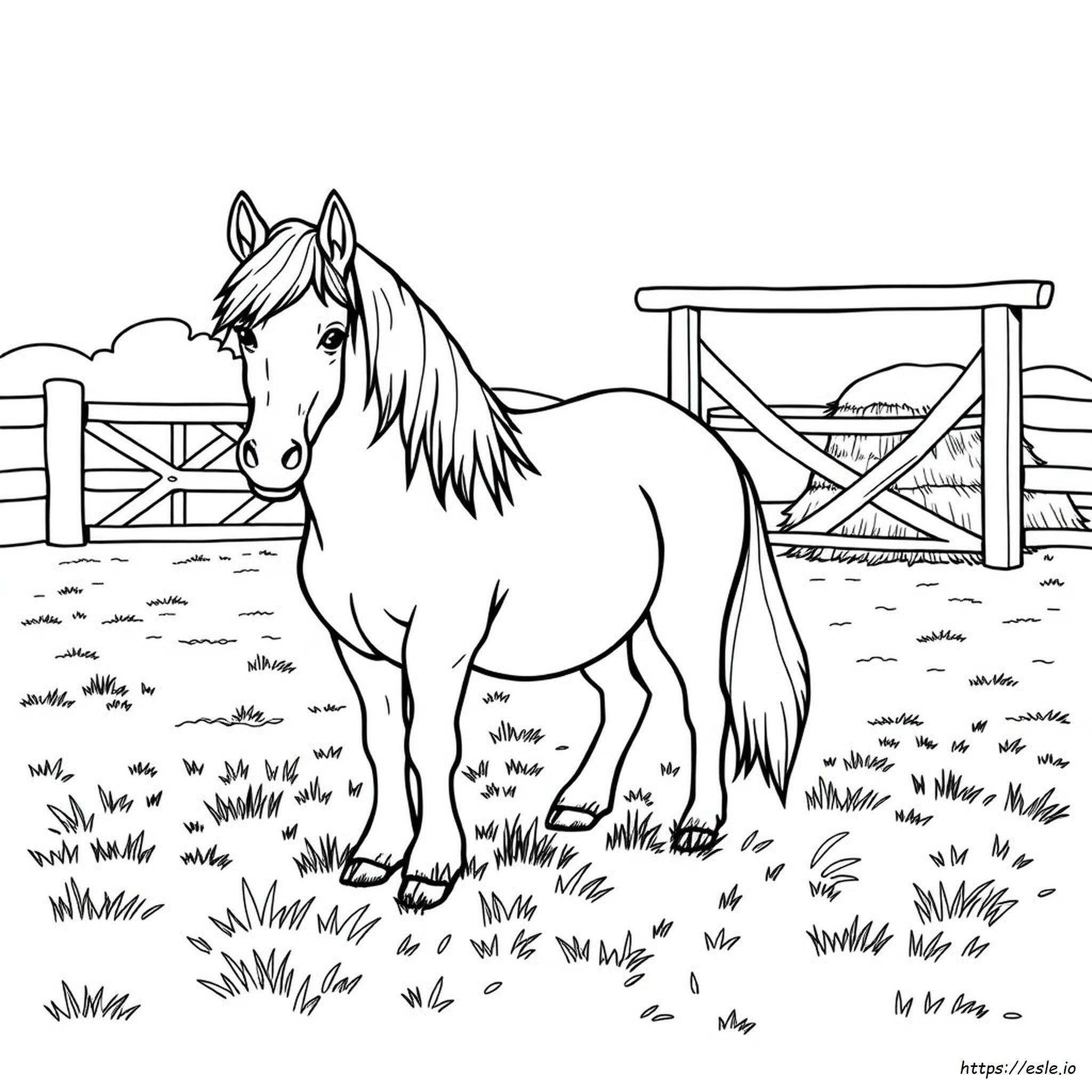 Shetland Pony Horse Coloring Pages