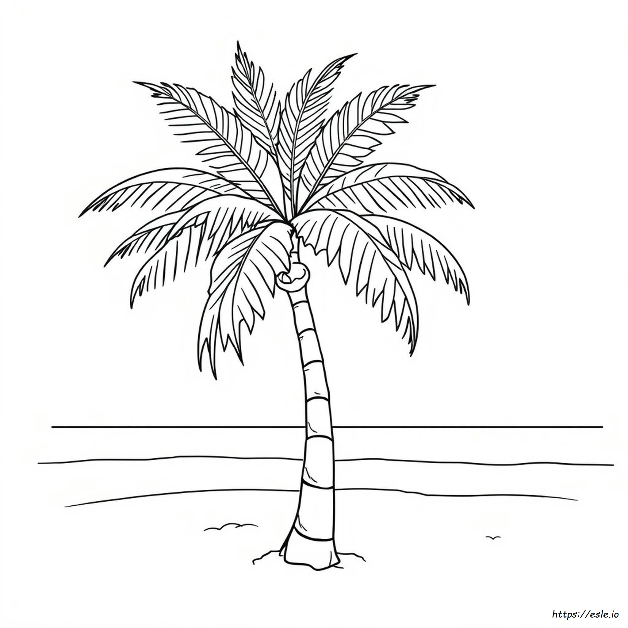 ヤシの枝 塗り絵