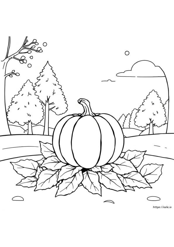 Herbstkürbis Ausmalbilder