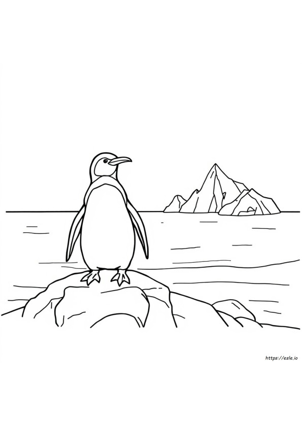 Afrikanischer Pinguin Ausmalbilder