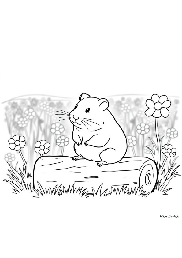 Gambar Mewarnai Hamster Untuk Dicetak